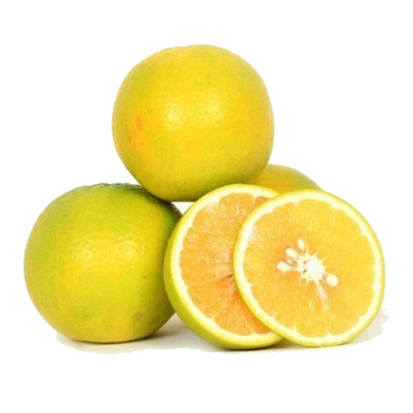 لیمو شیرین فله (1 کیلوگرم)