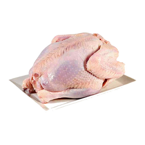 مرغ دولتی تازه کامل کشتار روز (وزن حدود 1600 گرم)