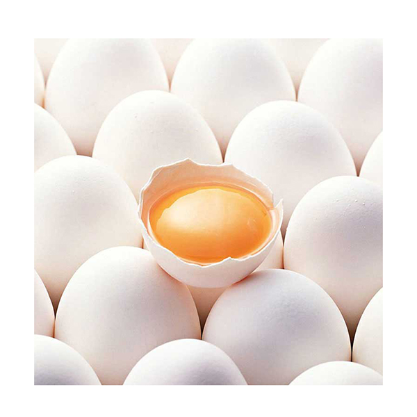 تخم مرغ فله ای دولتی (دو کیلو)